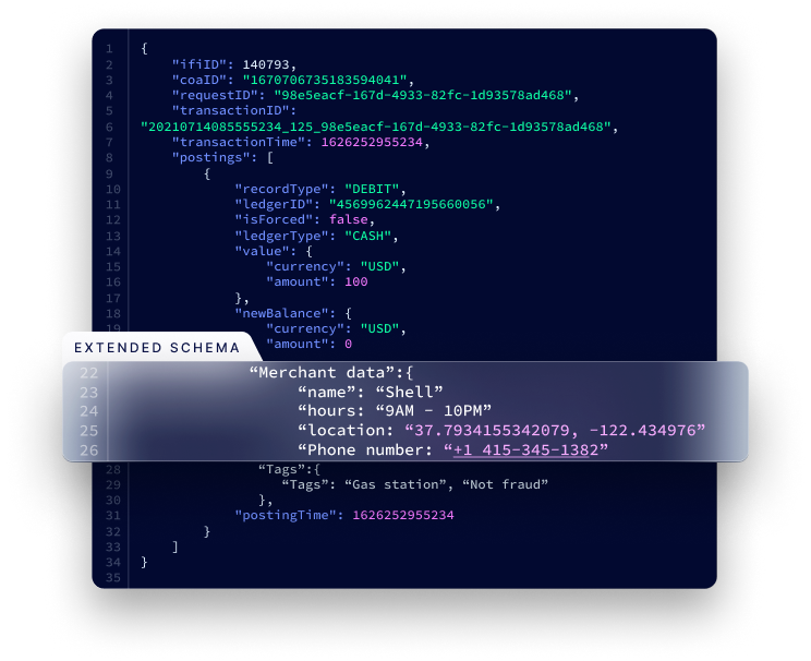 How Data Model Extensibility Works in Zeta Tachyon